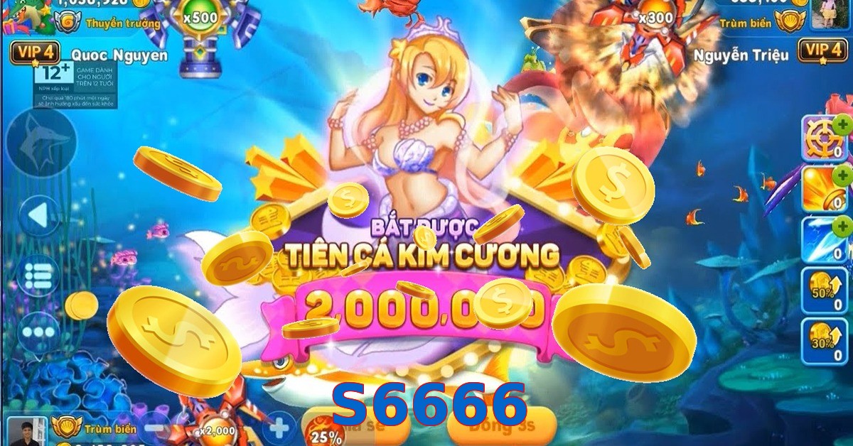S6666