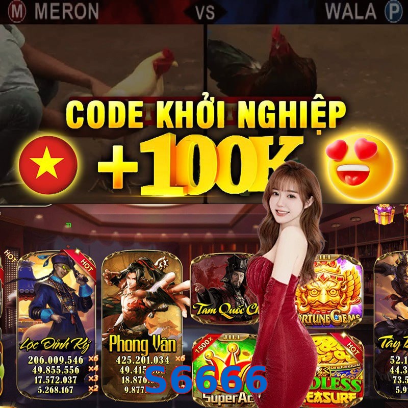S6666